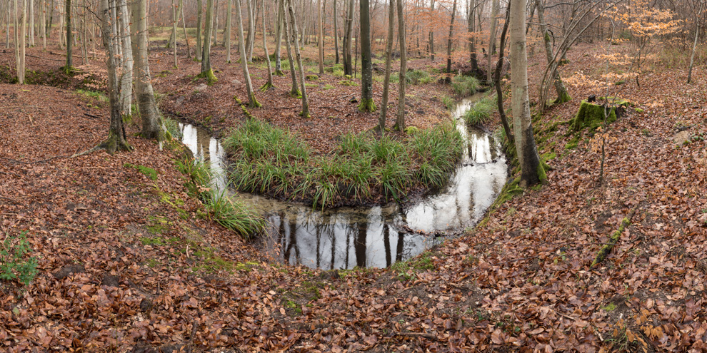 Ru de la Brévière