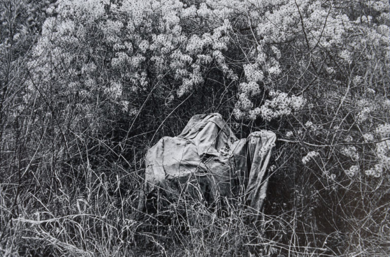 1983, Rethondes