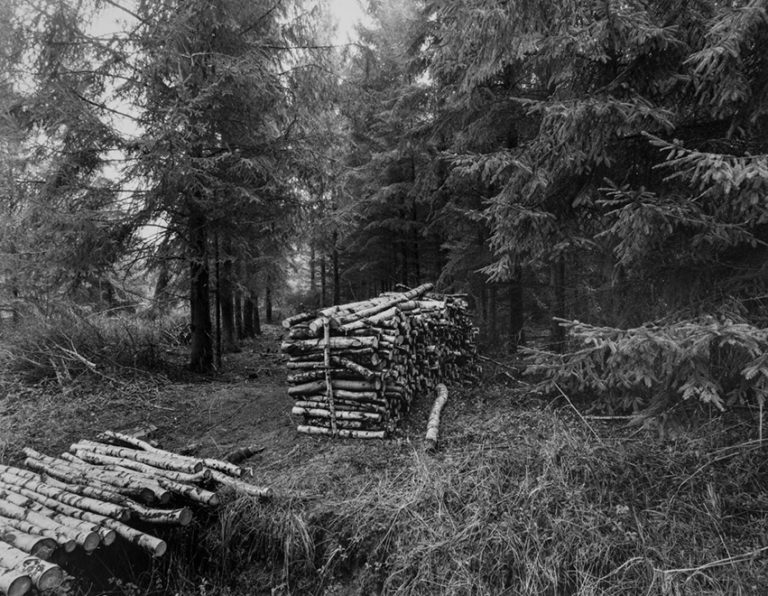 1996, Forêt de Compiègne