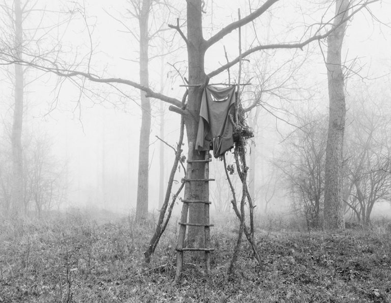 2009, Forêt de Compiègne