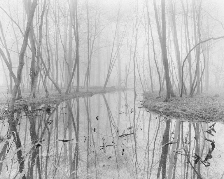 2012, Forêt de Compiègne