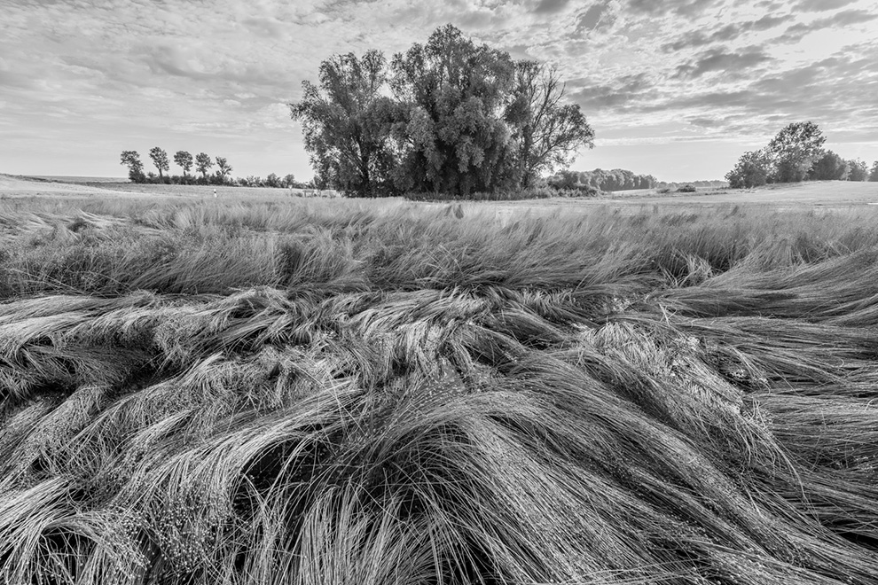 2019-picardie